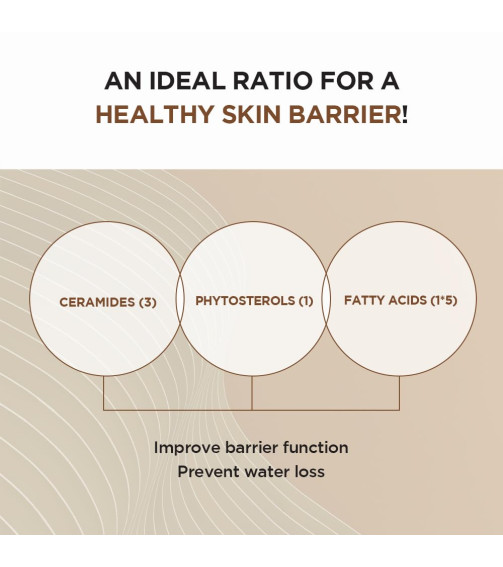 SKIN1004 MADAGASCAR CENTELLA PROBIO-CICA INTENSIVE AMPOULE 50ml